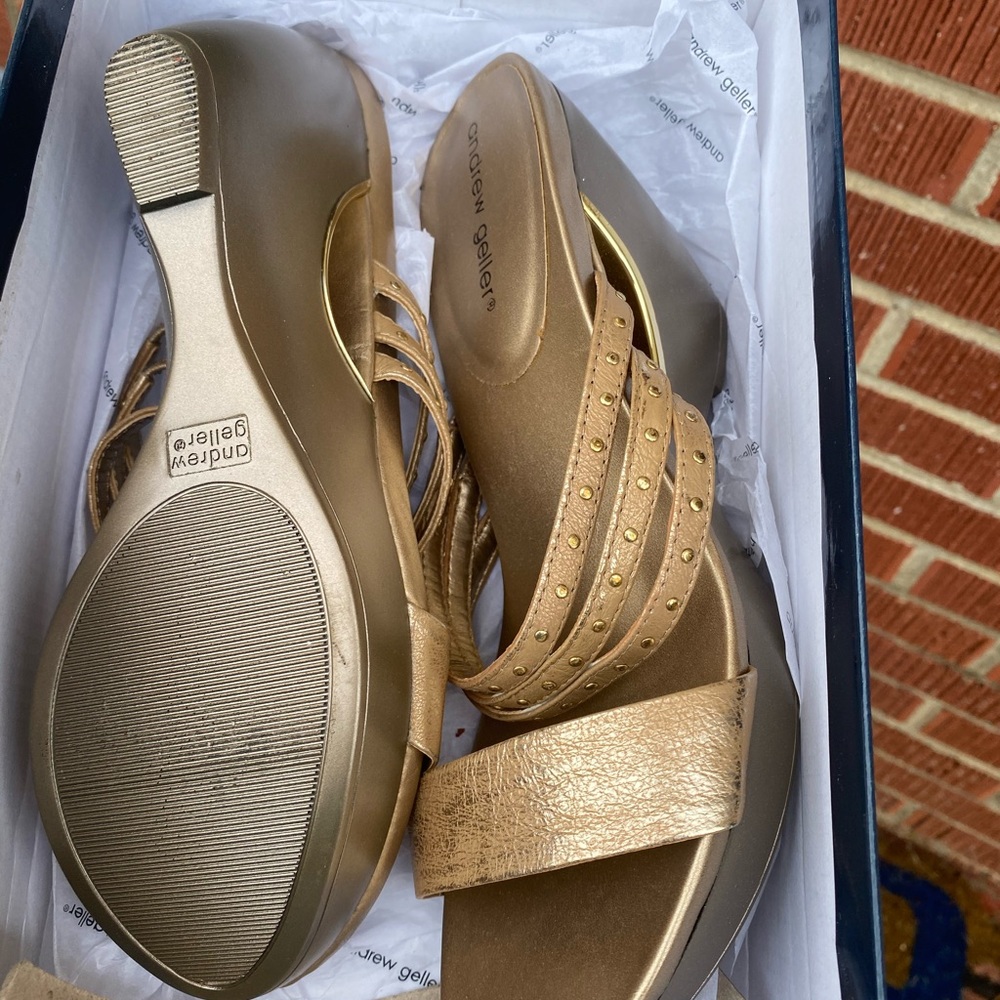 Andrew Geller shoes